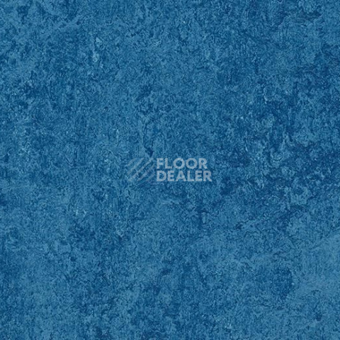 Кварцвиниловые полы Forbo Marmoleum Modular t3030 blue фото 1 | FLOORDEALER